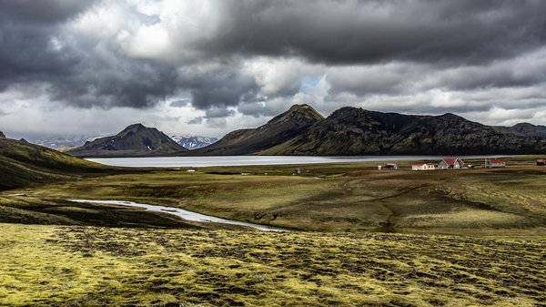 Le siwak : une solution naturelle pour votre hygiène dentaire