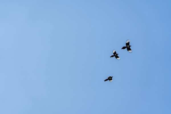 Dites adieu aux allergies avec la housse sur-mesure anti-acariens